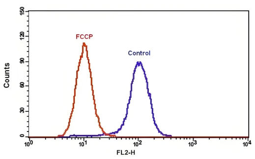 f3e2e61385eb423b1217d545986f8935_1718263087743567.png