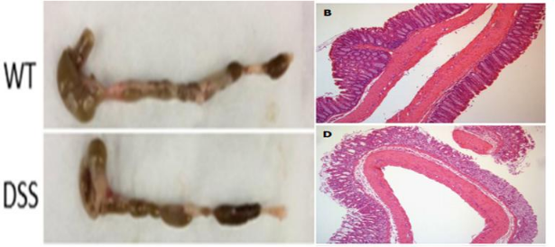 1729665583170471.png image.png